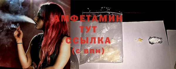 дмт Алзамай