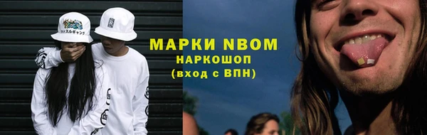 дмт Алзамай