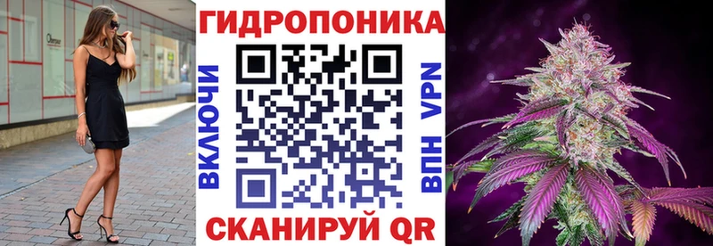 кракен зеркало  где купить наркотик  Нелидово  Канабис VHQ 